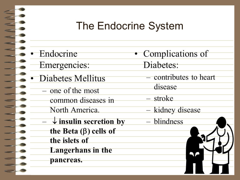 The Endocrine System Endocrine Emergencies: Diabetes Mellitus one of the most common diseases in